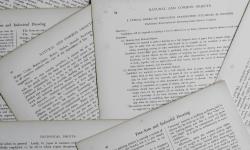 Featured image of post 「学术研究」价值定位、推广创新与文创衍生——文化强国背景下中国影像艺术的破局之路