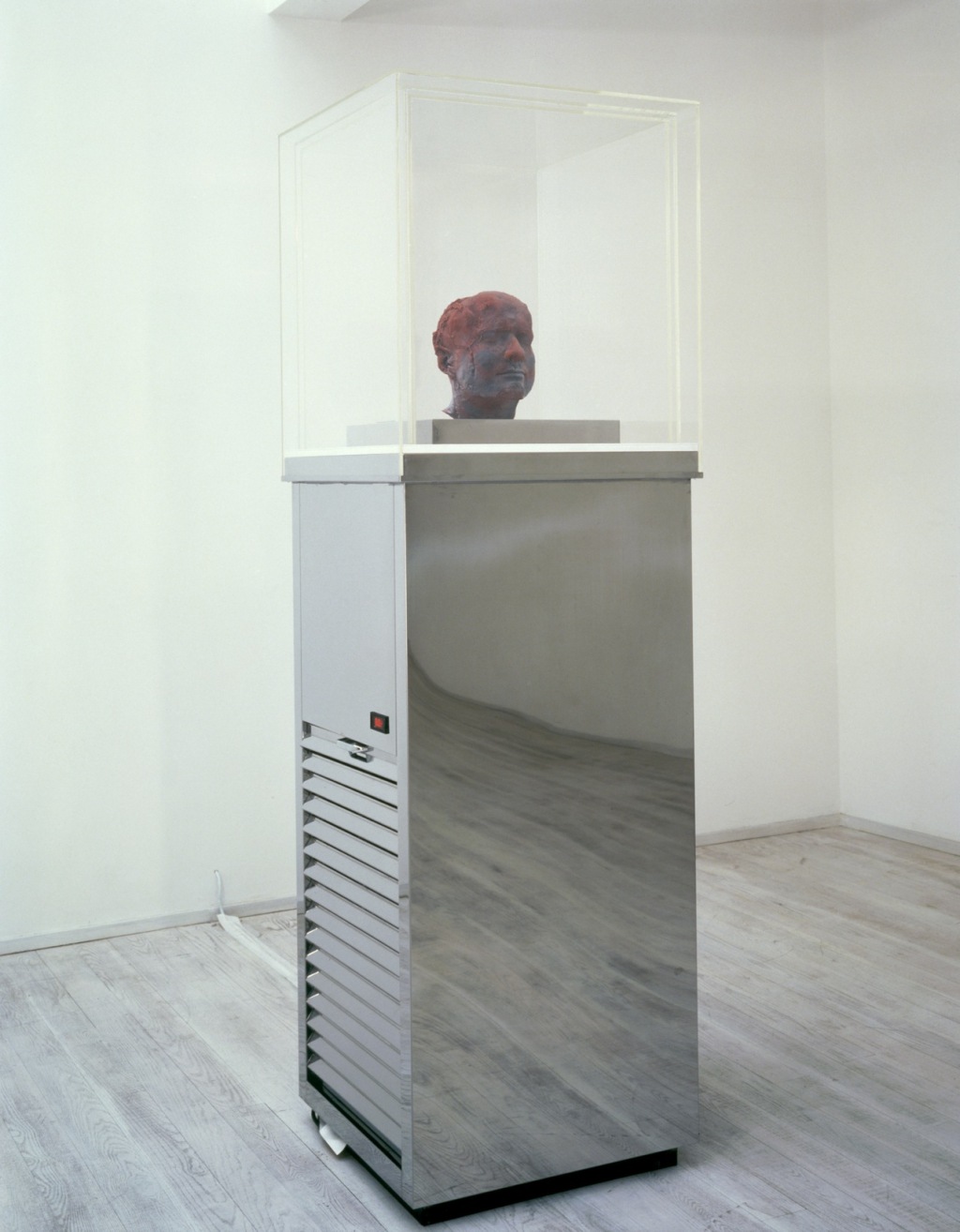 马克·奎因，《自我》，血液（艺术家）、不锈钢、机体和制冷设备，1991年