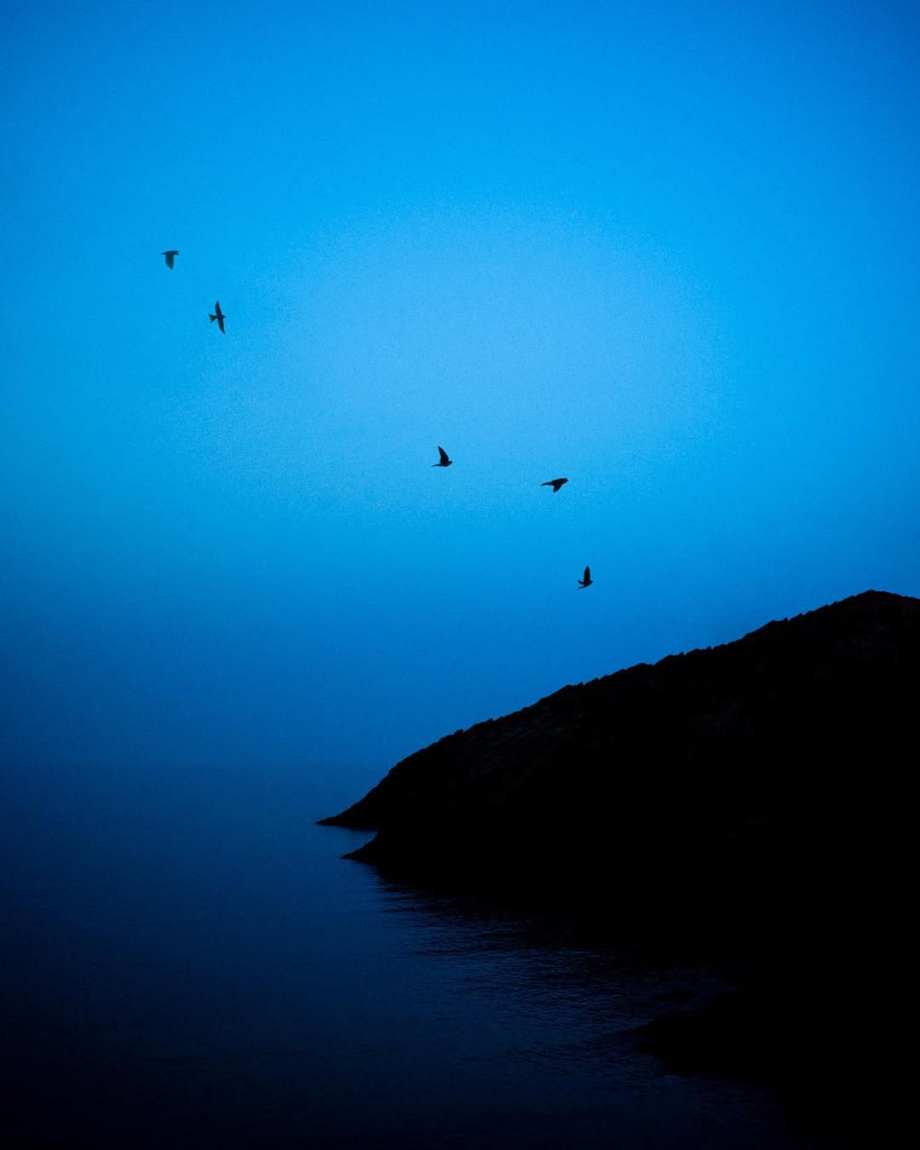 禅意的东方美学 ​​​​ | 摄影师Paul Cupido