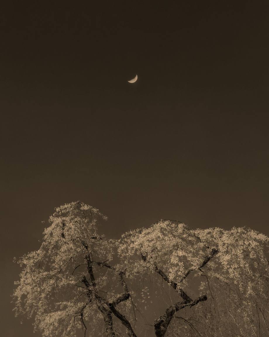 禅意的东方美学 ​​​​ | 摄影师Paul Cupido