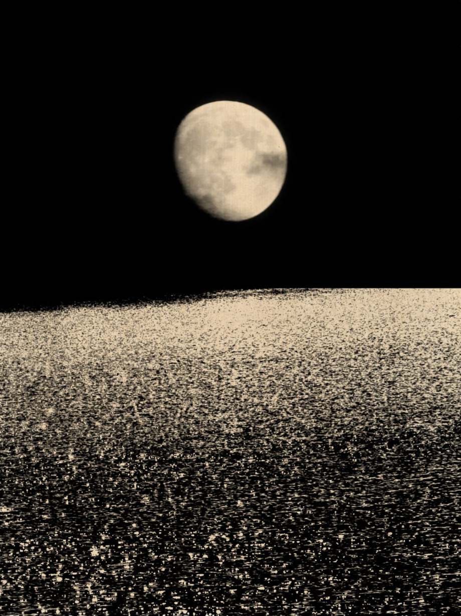 禅意的东方美学 ​​​​ | 摄影师Paul Cupido