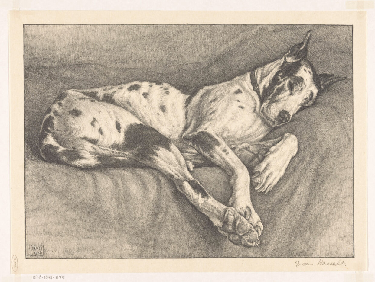 Sleeping Dog 睡犬 Bertha van Hasselt, Dutch, 1930, lithograph on paper