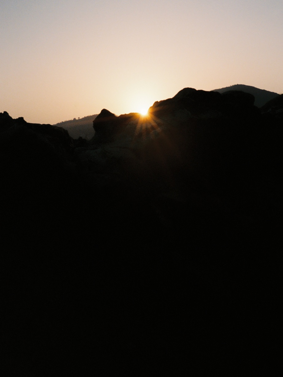 l am rooted，but l flow