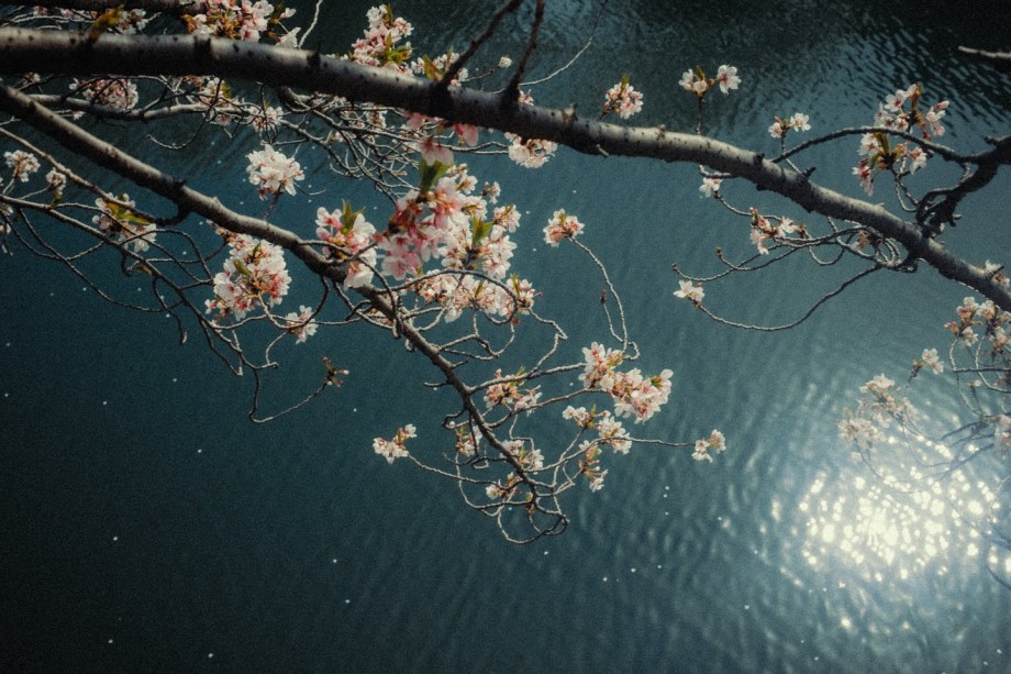 王家卫电影色彩的既视感 | Eren Sarigul街头影像