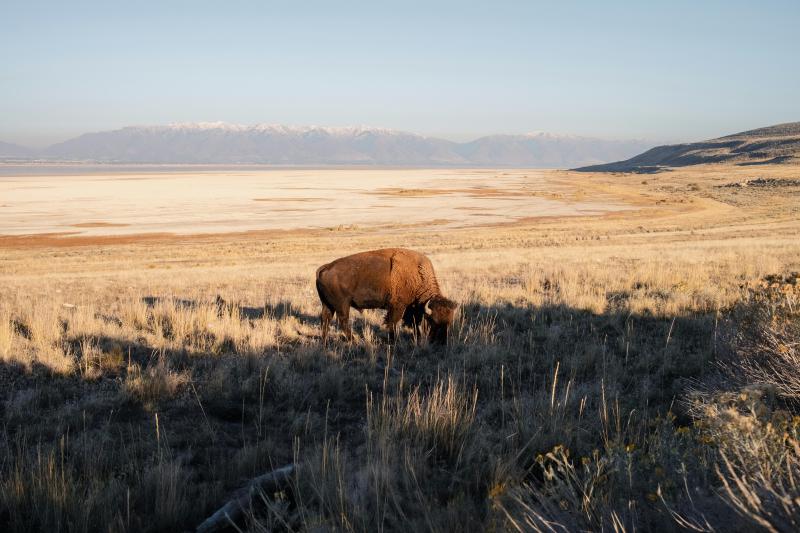 Featured image of post 「SF周刊」2025年第17期（总第17期）