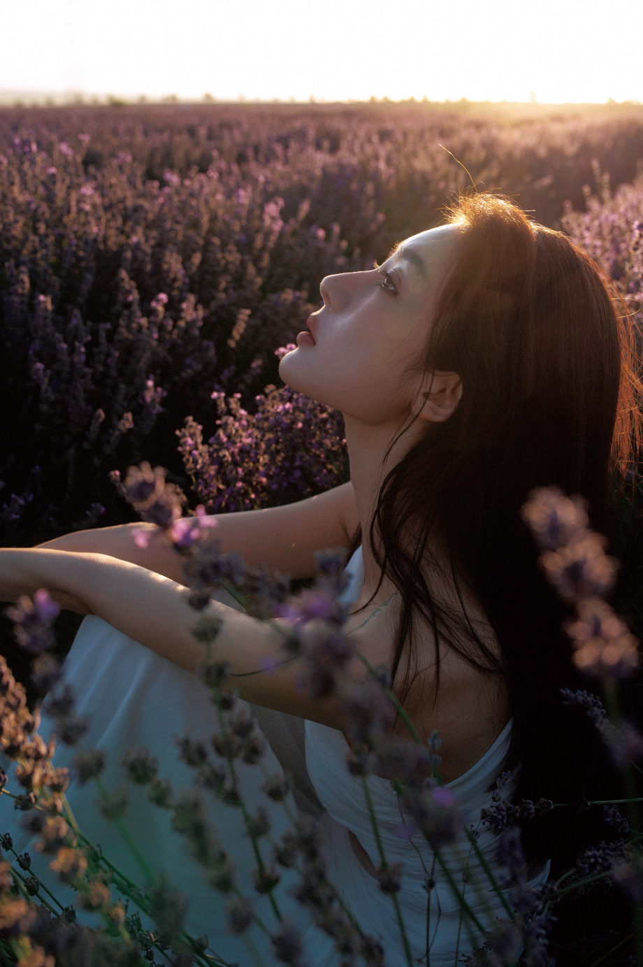 天空颜色最丰富的时候，是在太阳沉没之后