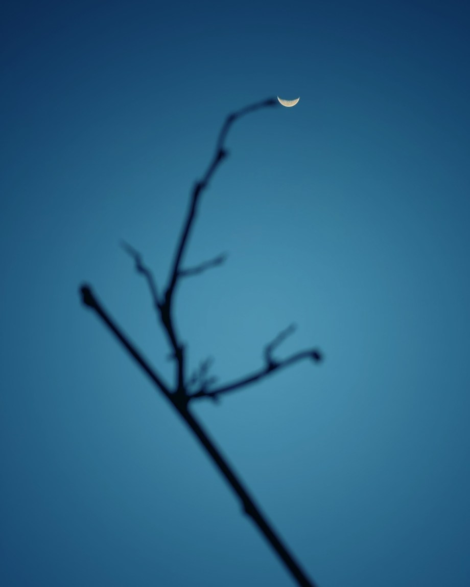 月