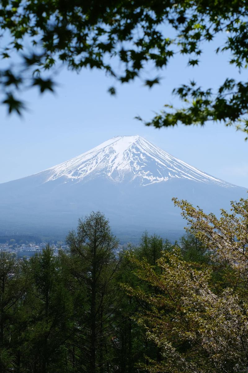 Featured image of post 「SF周刊」2025年第24期（总第24期）