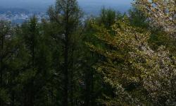 Featured image of post 「SF周刊」2025年第24期