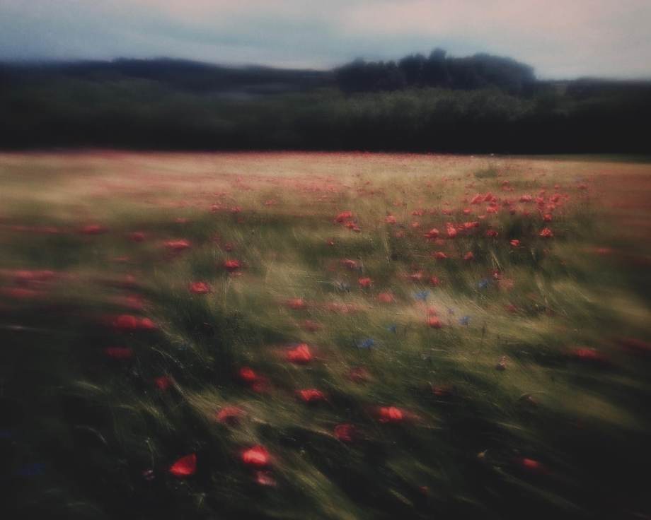 梦里的风景 摄影师thaddäus