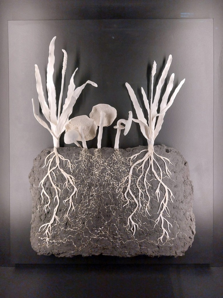 Herman de Vries，“from earth: kreta” (1992)