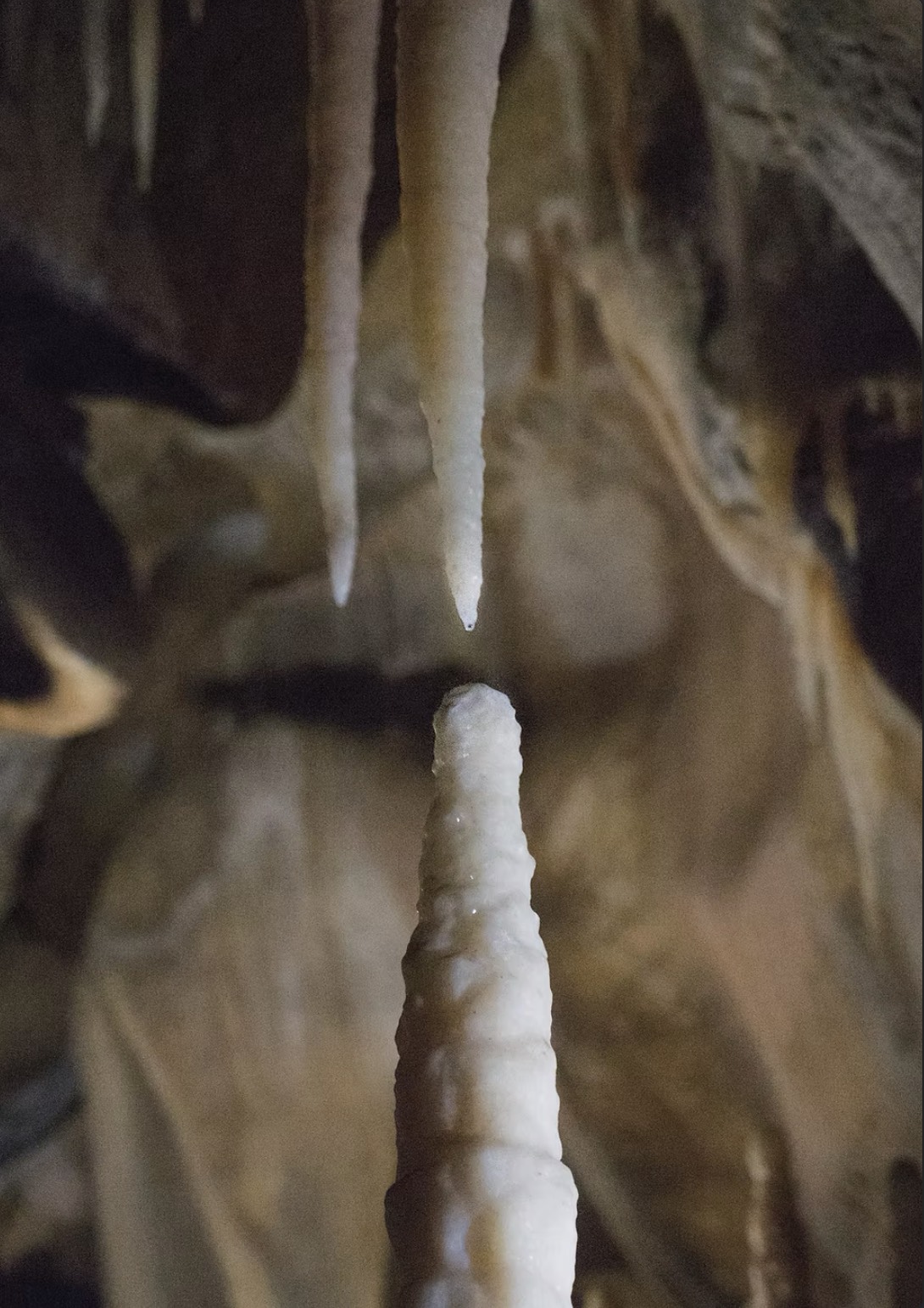 杨沛铿，《不远矣》，2020年 ，收藏级艺术微喷，150 × 100 cm。图片致谢艺术家。