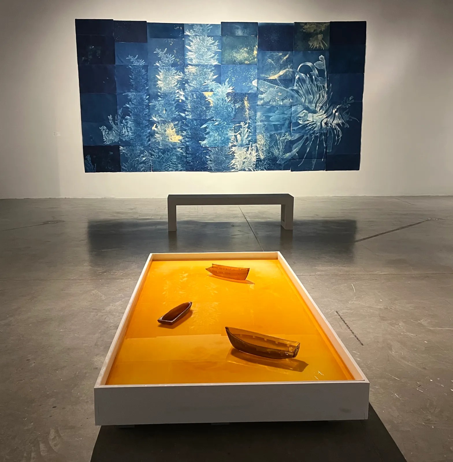 Andrea Chung，“Spectre” (2017)，cyanotype on watercolor paper，with “Bato Disik” (2013)，sugar，in the foreground (photo by Zachary Balber，courtesy MOCA North Miami)