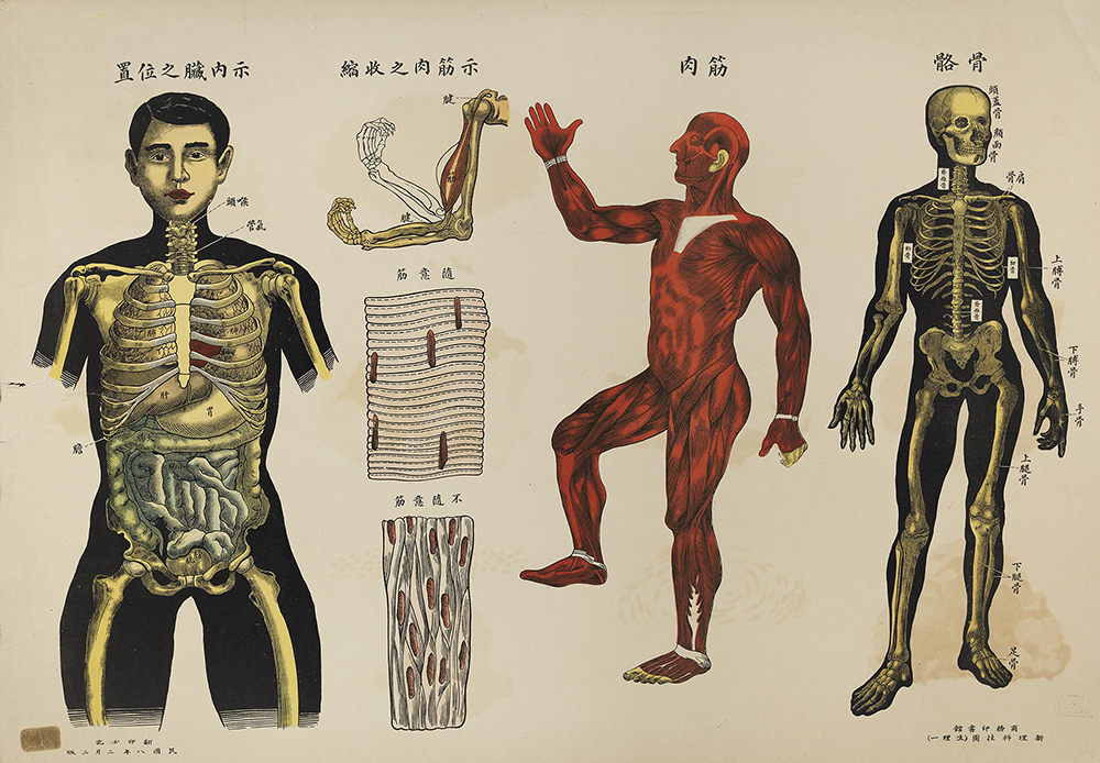 作者不详，理科挂图，民国八年（1919）二月二版上海商务印书馆印行