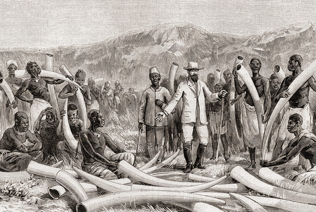 1892年，人们猎取象牙的插画。