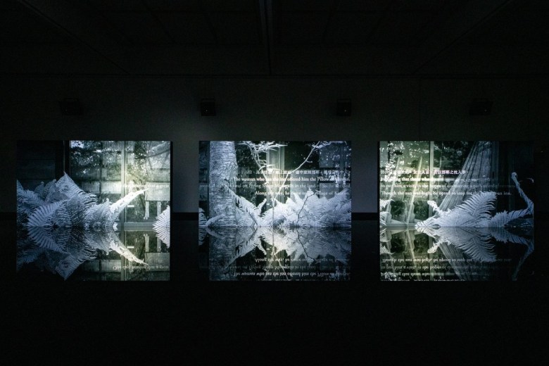 Ryuichi Sakamoto + Shiro Takatani, “TIME TIME” (2024) (©2024 KAB Inc.; photo by Kazuo Fukunaga)