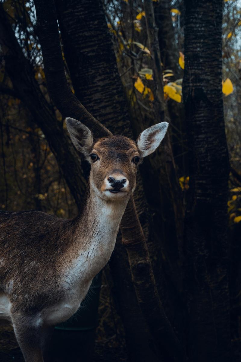 Featured image of post 「SF周刊」2025年第3期