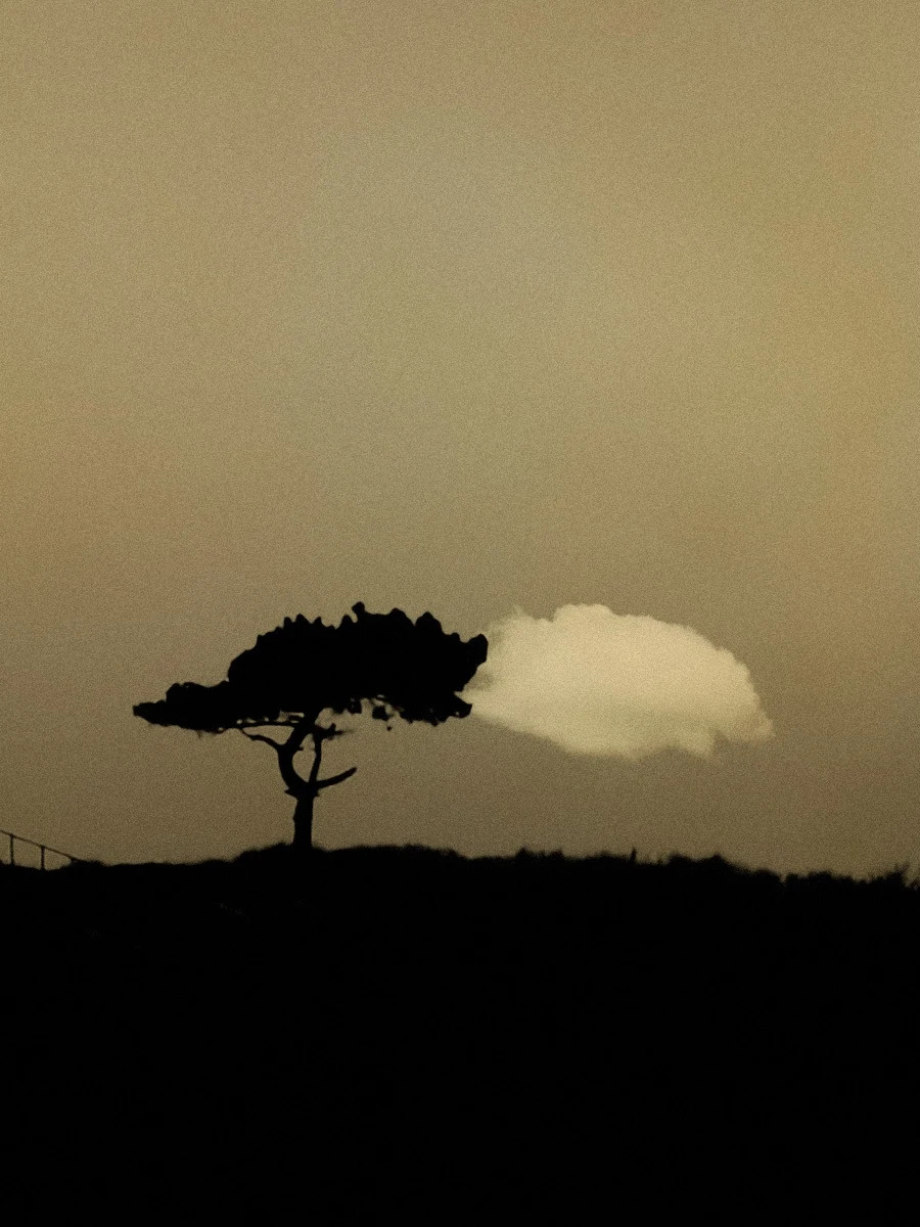 禅意的东方美学 | 摄影师Paul Cupido