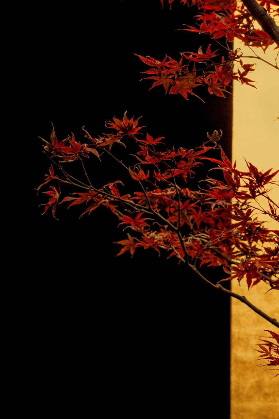 禅意的东方美学