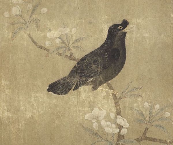 宋 无款 《梨花鸲鹆》（局部） 选自“历代画幅”集册  台北故宫博物院藏