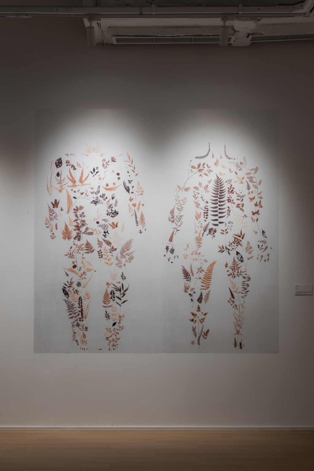 《植物标本晒痕文献》