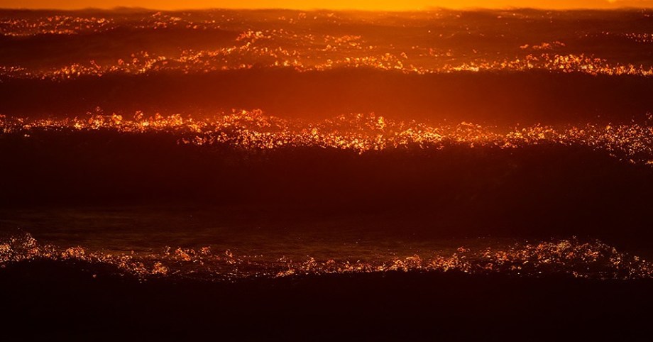 发光的海 | Sandra Bartocha