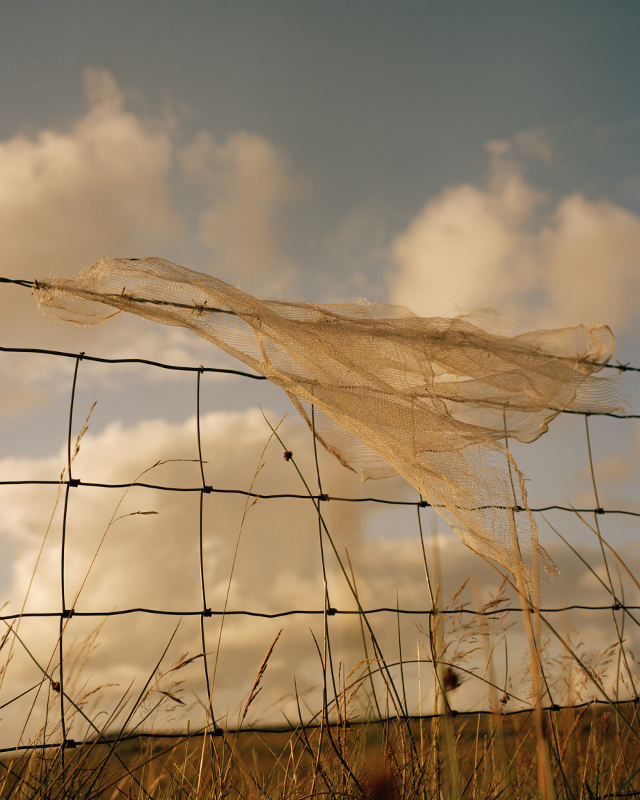 温柔的胶片影像 | 摄影师Mark Sommerfeld