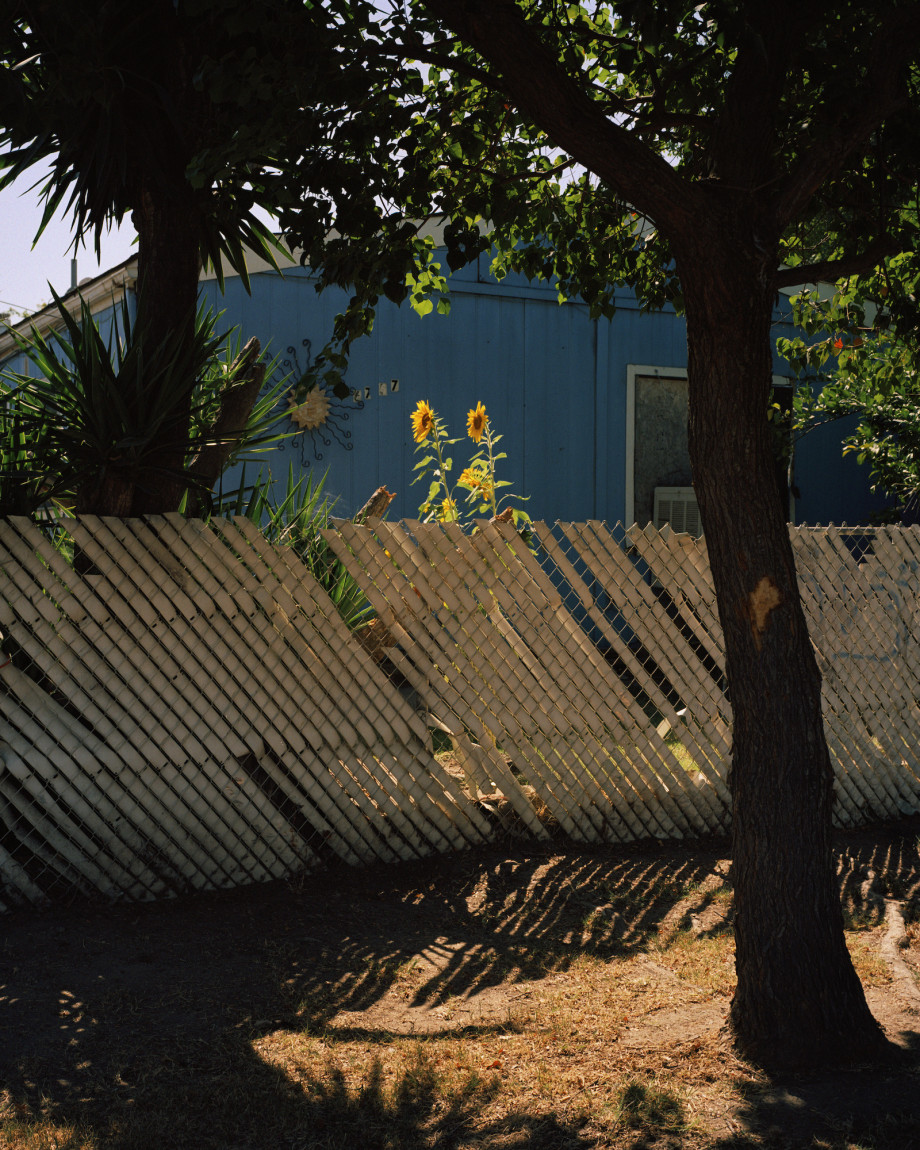 温柔的胶片影像 | 摄影师Mark Sommerfeld