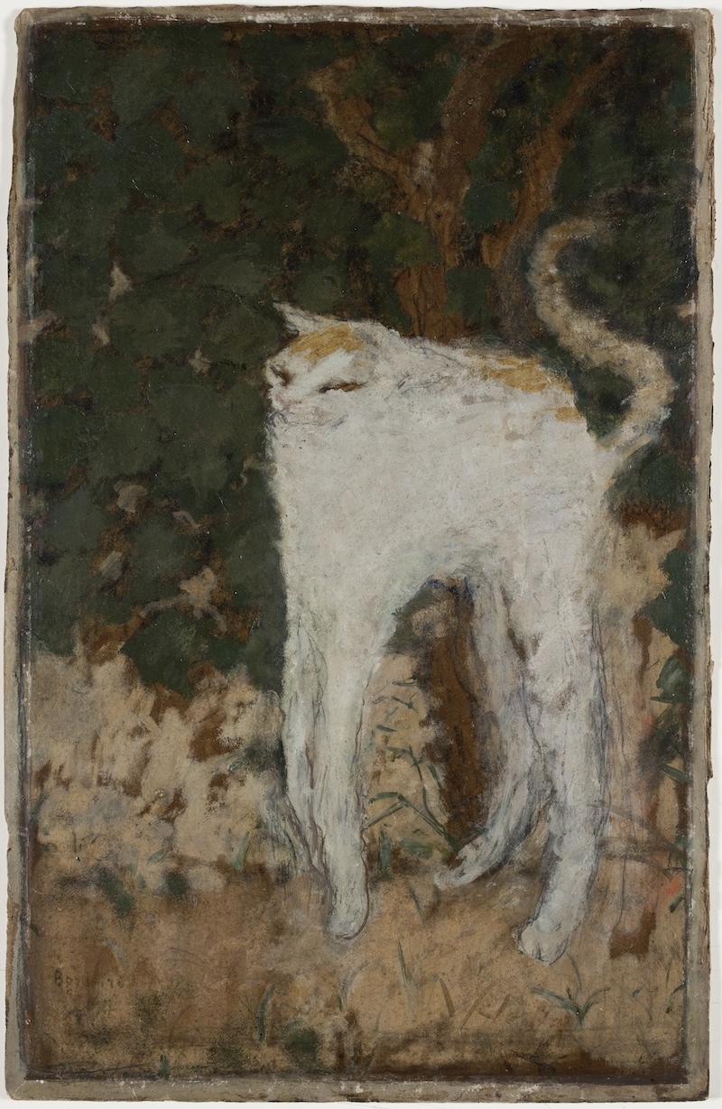 皮埃尔·博纳尔《白猫》1894，纸板油画© photo : Musée d’Orsay, Dist. RMN-Grand Palais / Patrice Schmidt