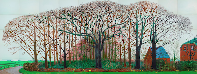 霍克尼，《沃尔特附近的大树》，2007年