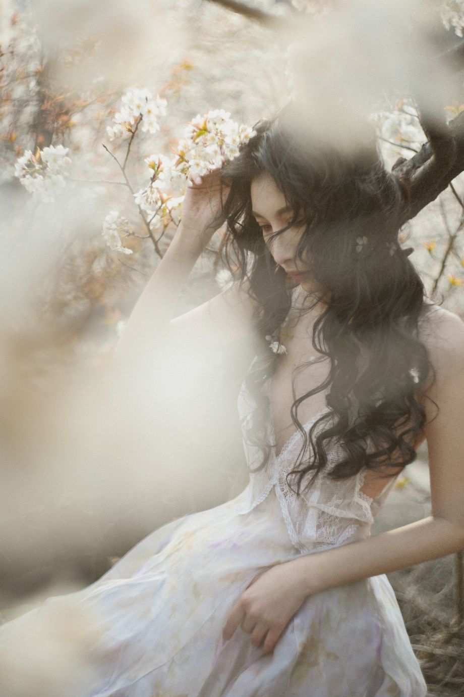 樱花在风的诗里