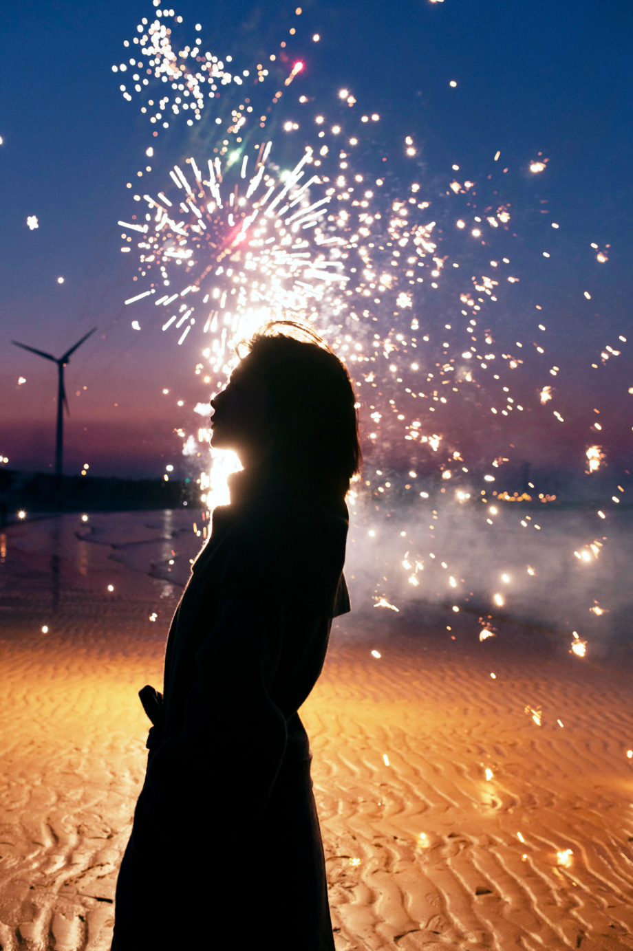 幻想成为自由的鸟