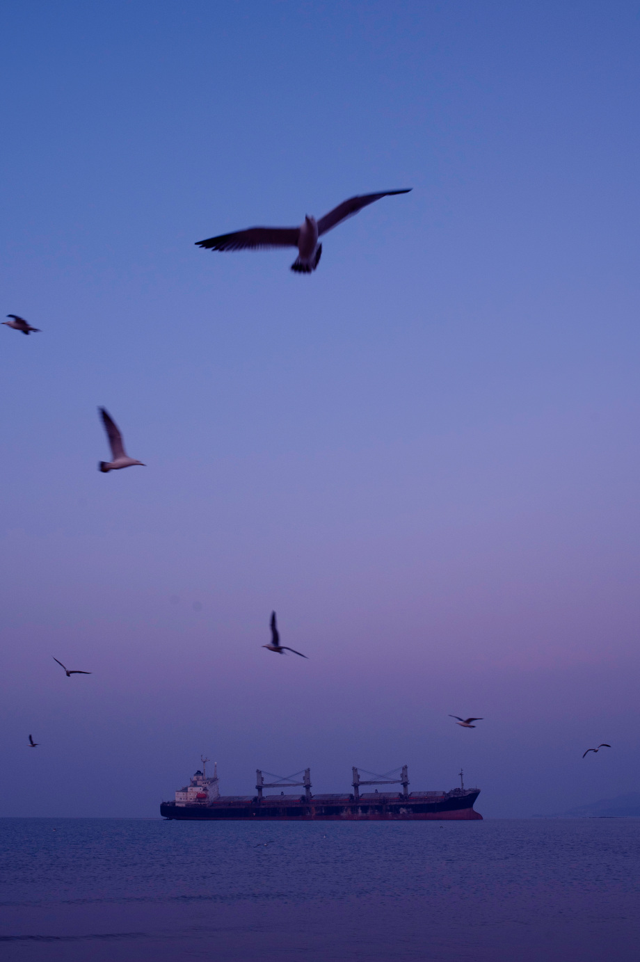 幻想成为自由的鸟