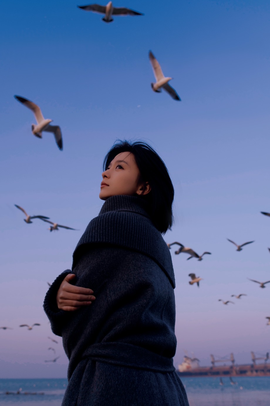 幻想成为自由的鸟