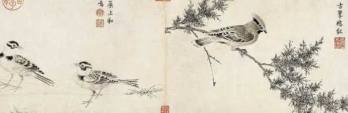 曾经的尤伦斯收藏，宋徽宗《写生珍禽图》