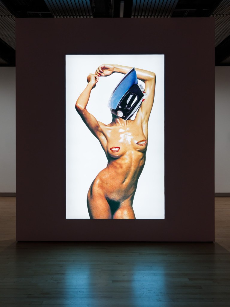 Installation view of Linder, “It’s The Buzz, Cock!” (2015) (photo by Mark Blower, courtesy the artist and the Hayward Gallery; all other photos Anna Souter/Hyperallergic)