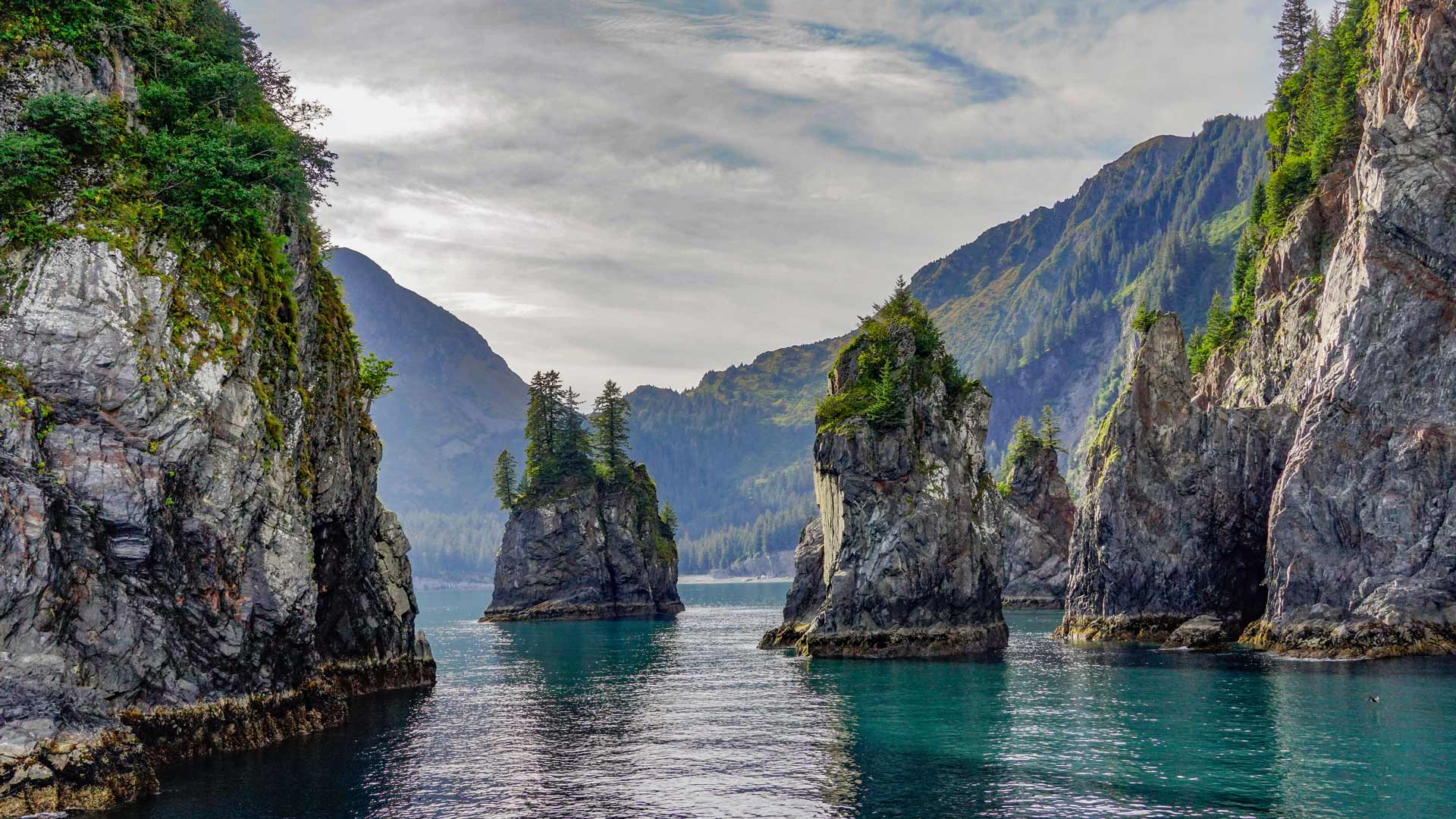 阿拉斯加基奈峡湾国家公园尖顶湾，位于美国阿拉斯加州苏厄德
