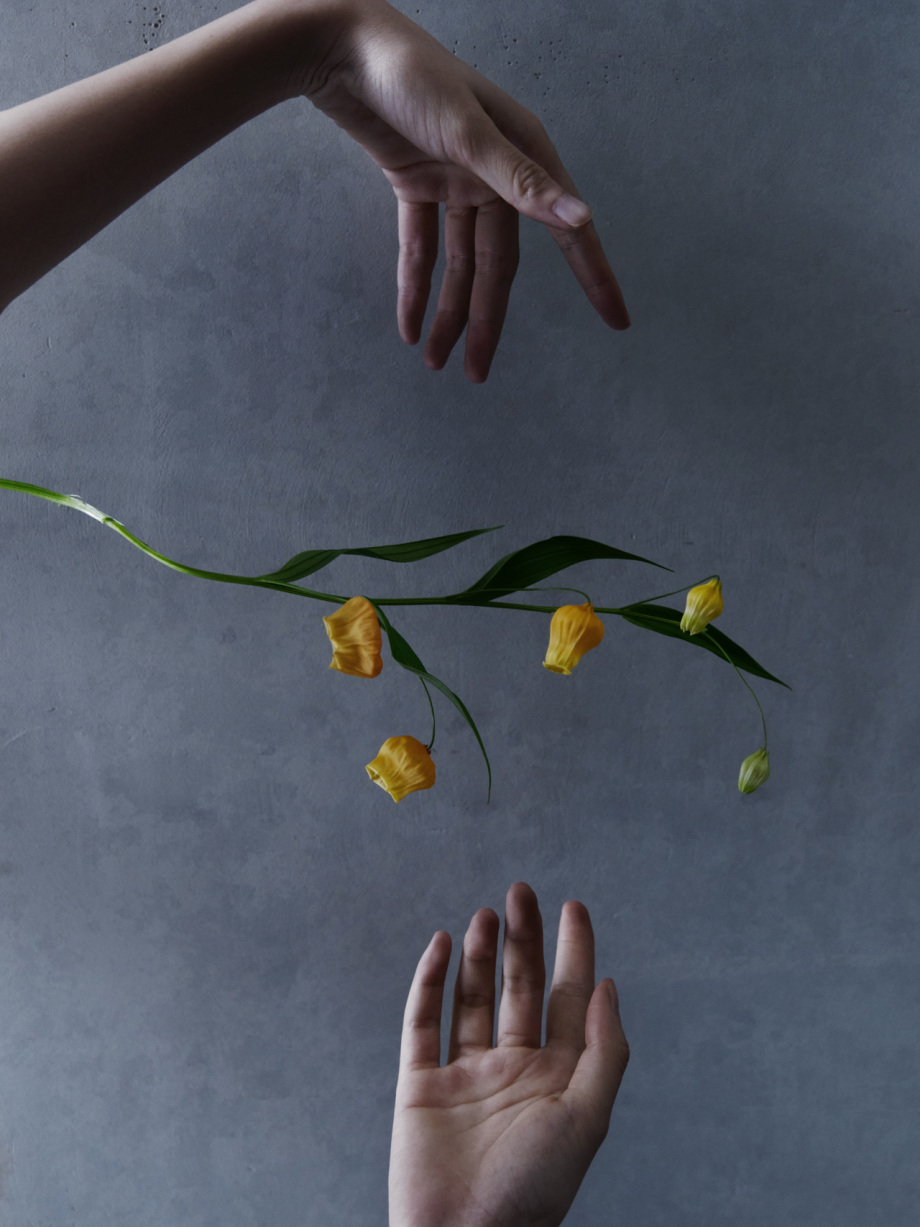 把生活调整0.5倍速