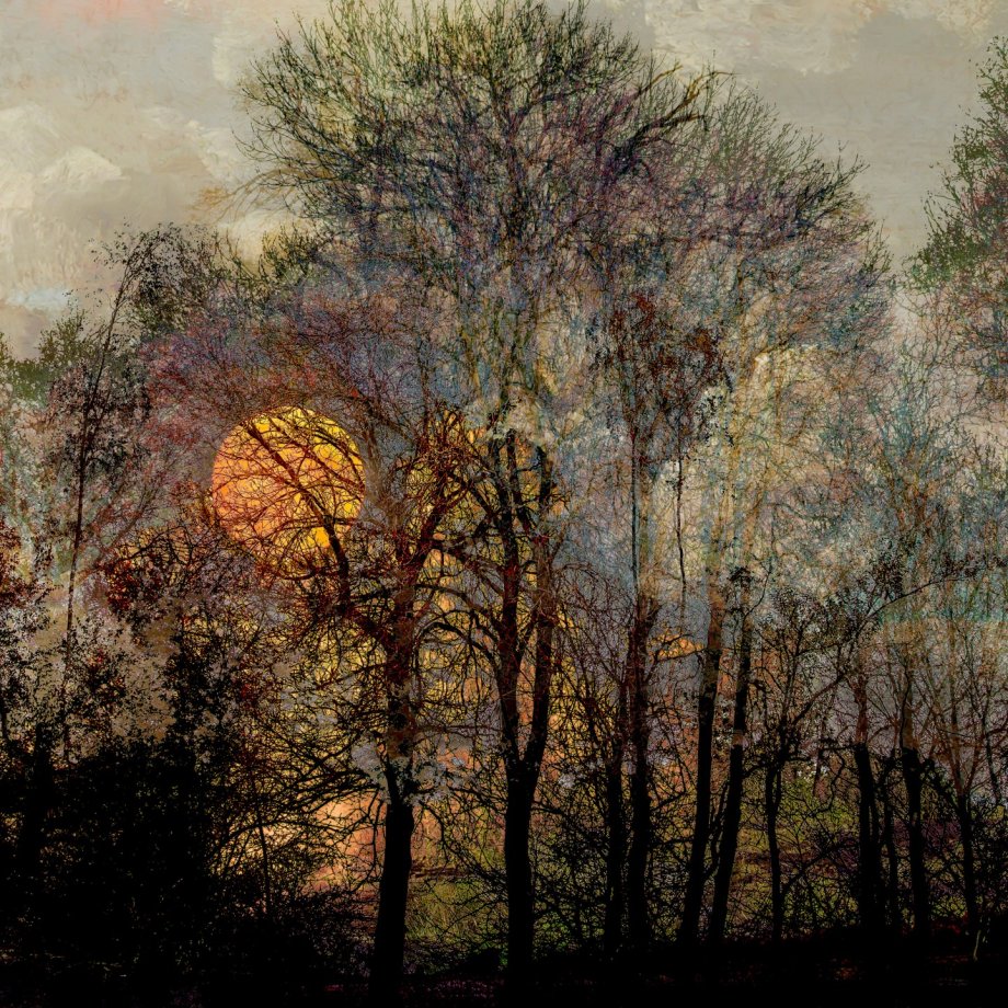 迷幻风景 摄影师Saskia Boelsums