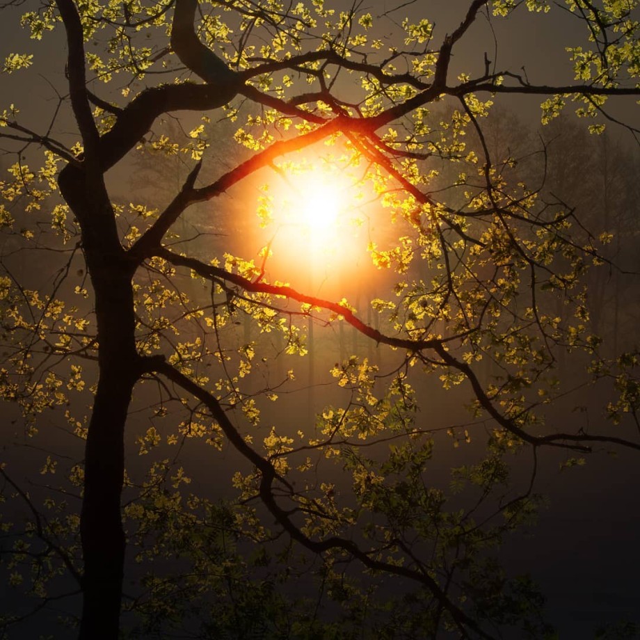 迷幻风景 摄影师Saskia Boelsums