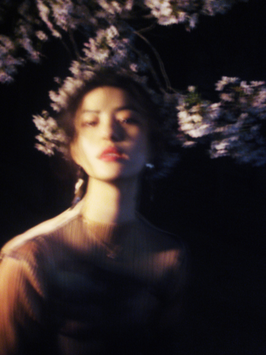 夜樱